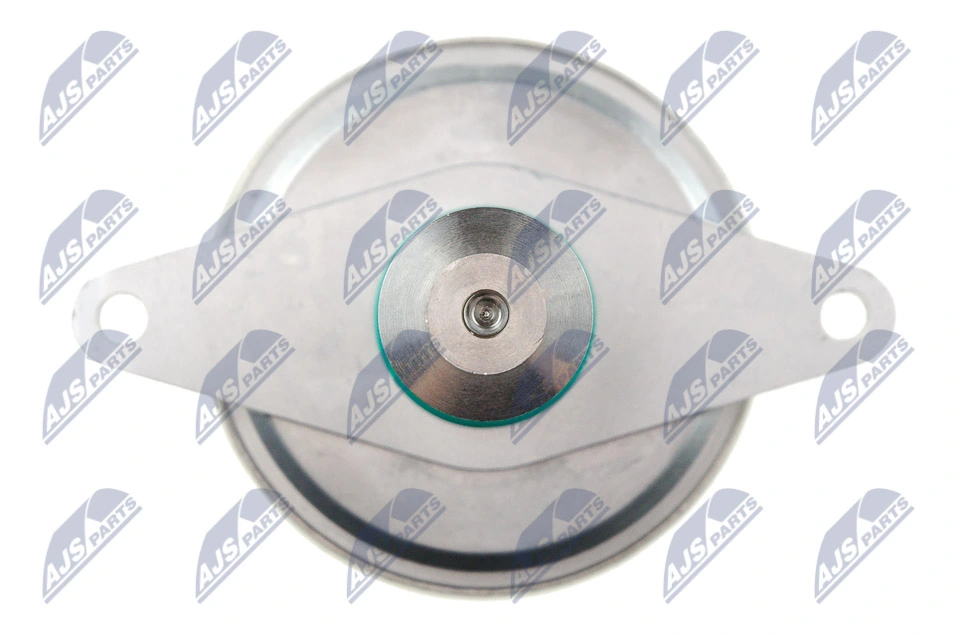 EGR Valve EGR-PL-002