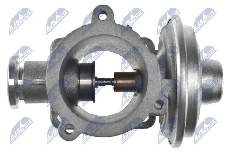 EGR Valve EGR-BM-001