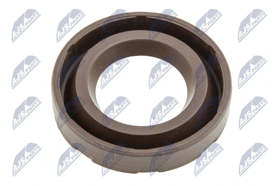 Seal Ring, spark plug shaft O-NCP-007