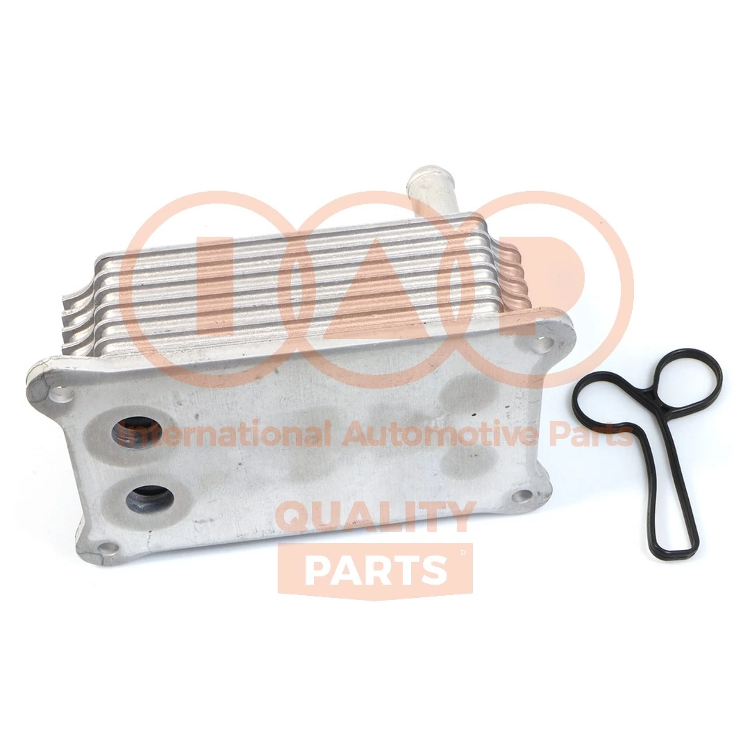 BorgWarner (Wahler) 4078.75D Thermostat, coolant