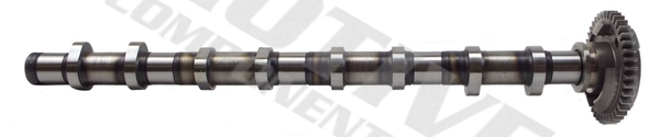 Camshaft T2127