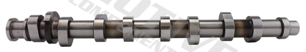 Camshaft T2184