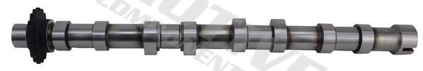 Camshaft T4432