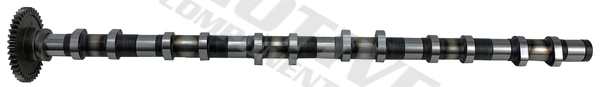 Camshaft T4343