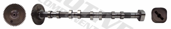 Camshaft T2131