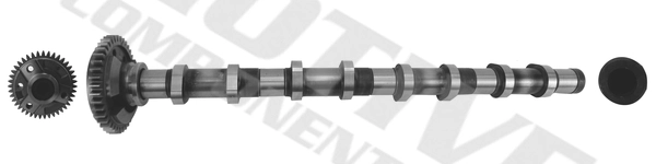 Camshaft T4341