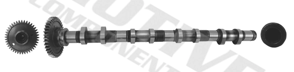 Camshaft T4342