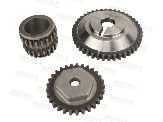 Timing Chain Kit TCK350