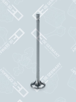 Intake Valve 03 0520 TD73E0