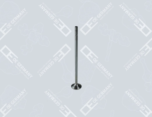 Exhaust Valve 01 0520 930001