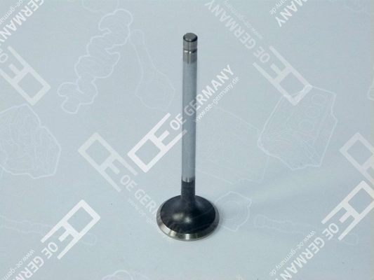 Exhaust Valve 06 0520 XF9501