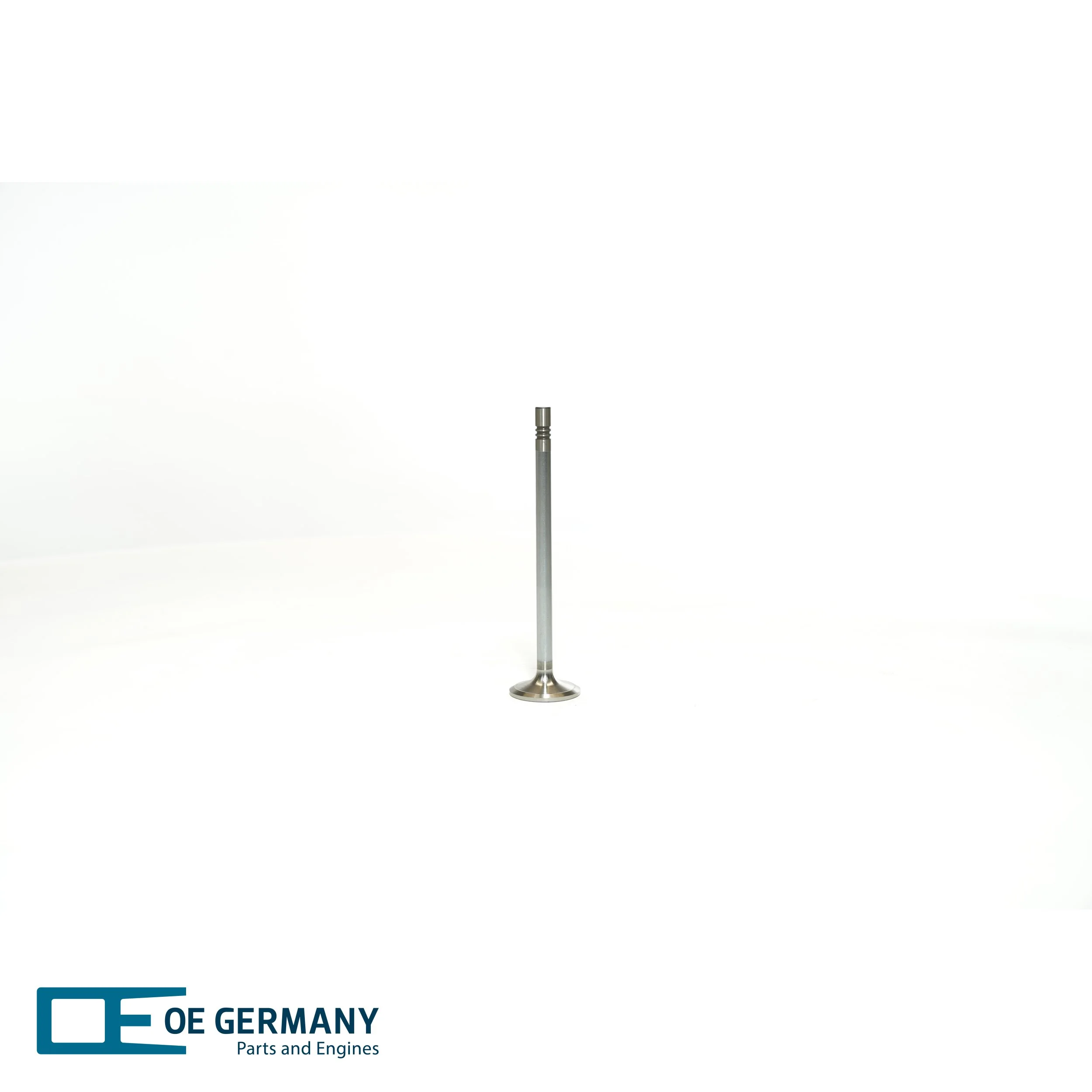 Intake Valve 02 0520 267600