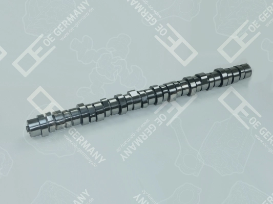 Camshaft 03 0500 D13A01
