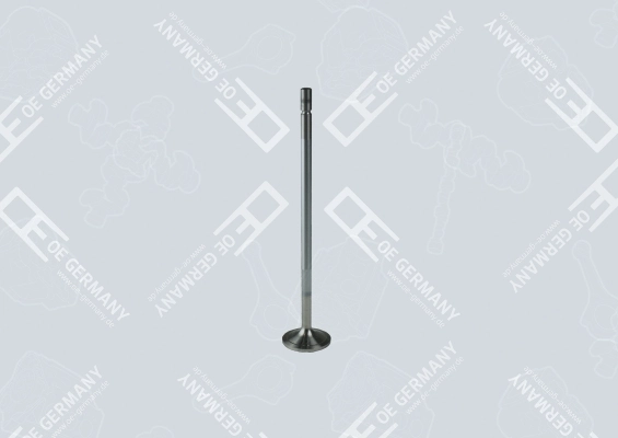 Intake Valve 01 0520 930000