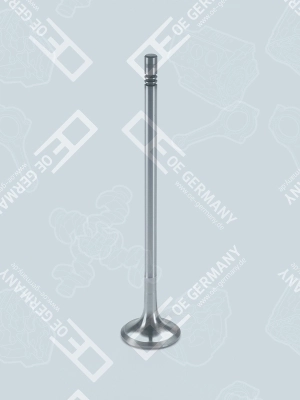 Exhaust Valve 03 0520 D11001