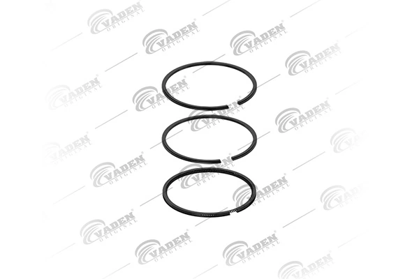 Piston Ring Kit 821 202