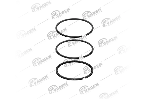 Piston Ring Kit 921 201