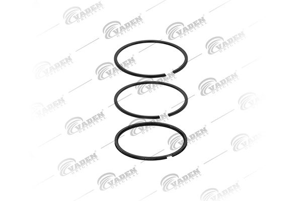 Piston Ring Kit 881 200