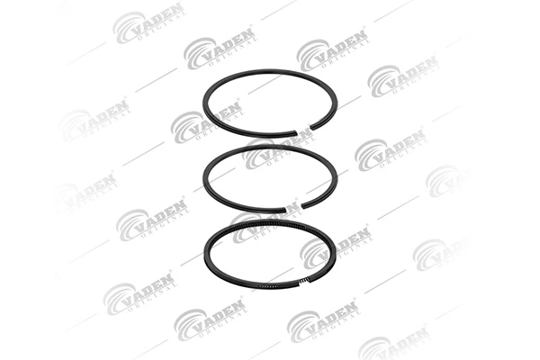 Piston Ring Kit 901 200