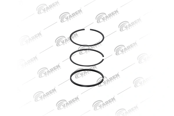 Piston Ring Kit 652 200
