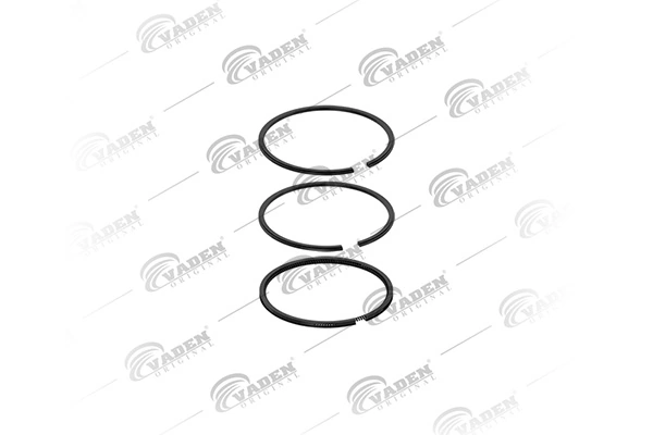 Piston Ring Kit 751 202