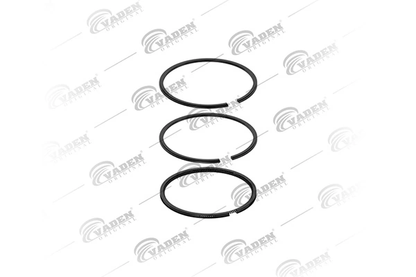 Piston Ring Kit 851 200