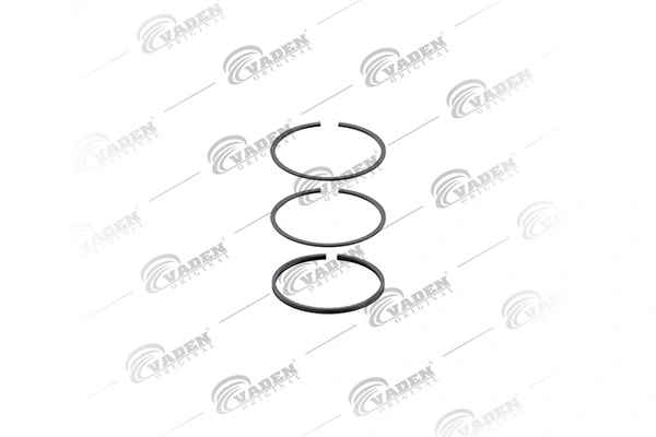Piston Ring Kit 601 200