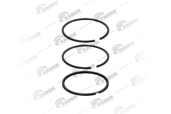 Piston Ring Kit 102 200