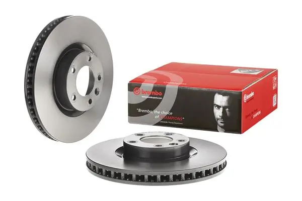 Brake Disc PRIME LINE - UV Coated 09.C549.11
