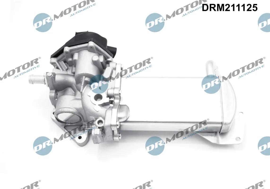 EGR Valve DRM211125