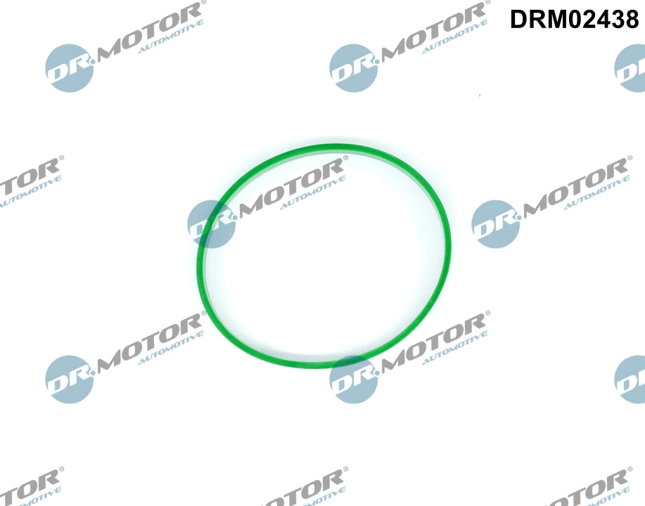 Gasket, throttle body DRM02438