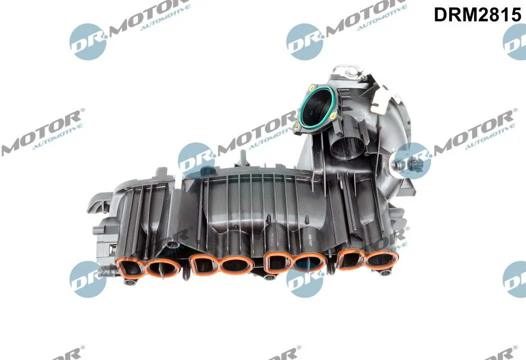 Intake Manifold Module DRM2815
