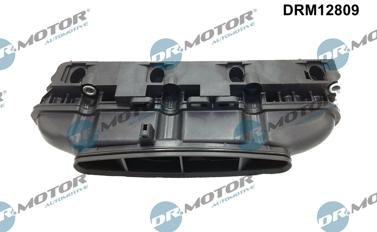 Intake Manifold Module DRM12809