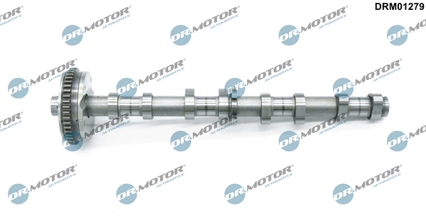 Camshaft DRM01279