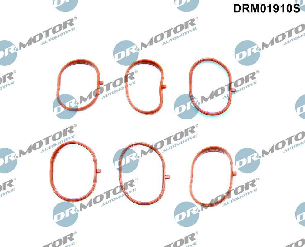 Gasket Set, intake manifold DRM01910S