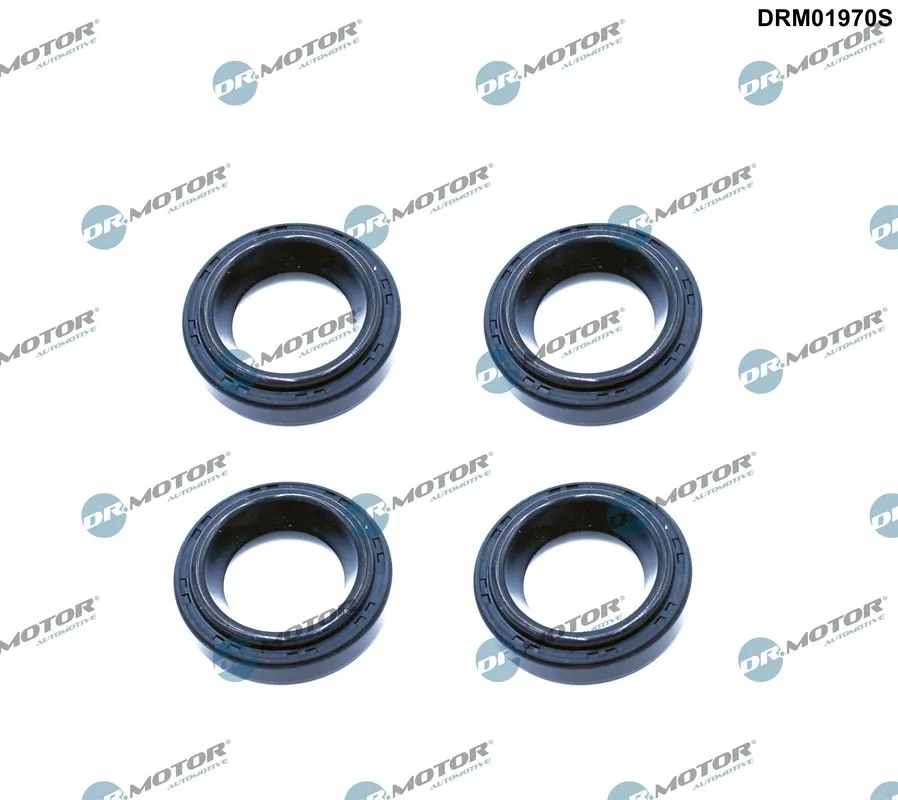 Seal Ring, spark plug shaft DRM01970S