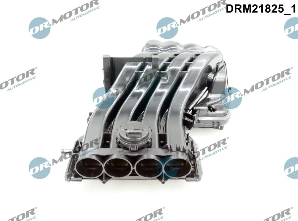 Intake Manifold Module DRM21825
