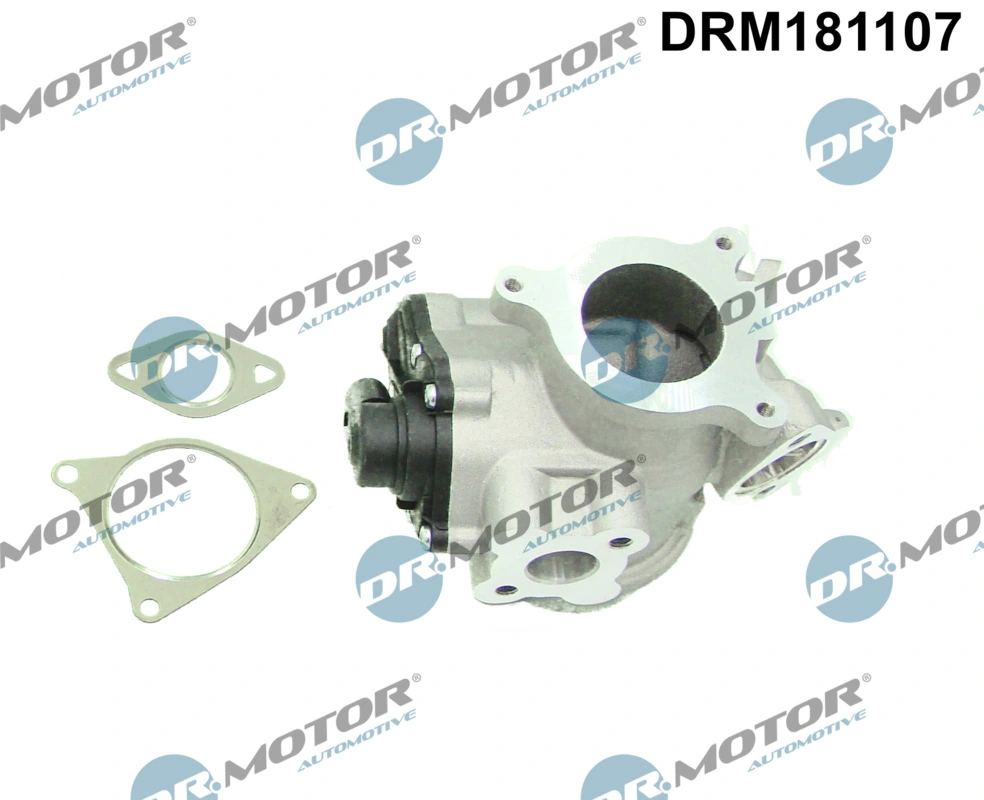 EGR Valve DRM181107