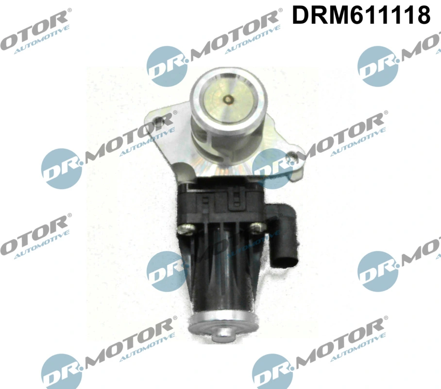 EGR Valve DRM611118