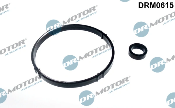 Gasket Set, oil cooler DRM0615