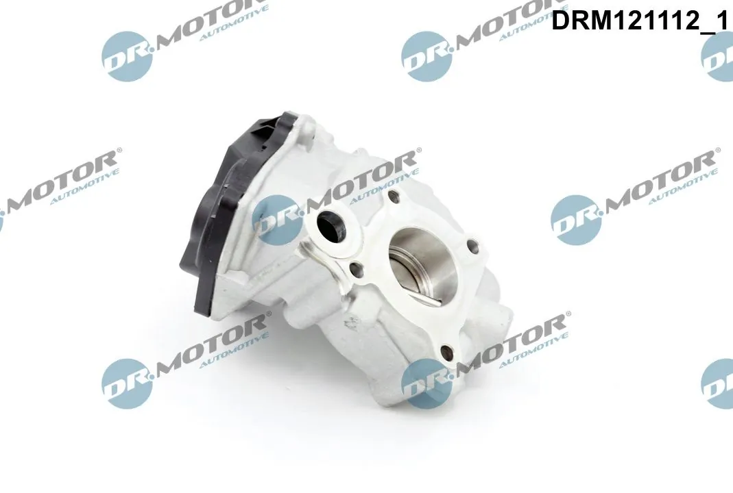 Dr.Motor Automotive DRM121112 EGR Valve