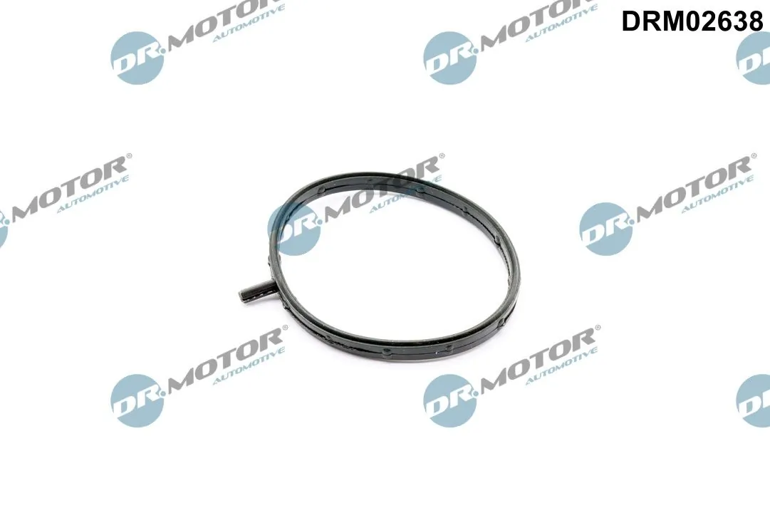Gasket, throttle body DRM02638