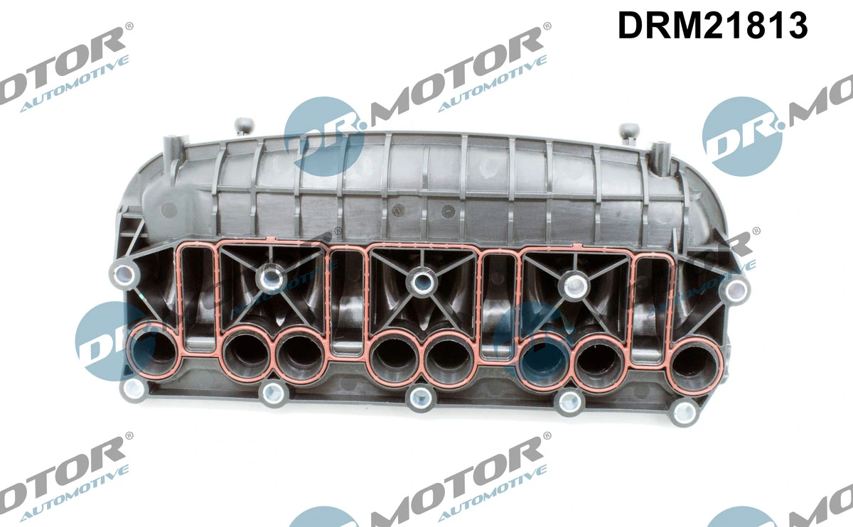 Intake Manifold Module DRM21813