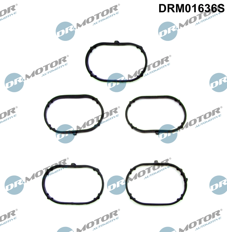 Gasket Set, intake manifold DRM01636S