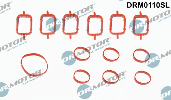 Gasket Set, intake manifold DRM0110SL