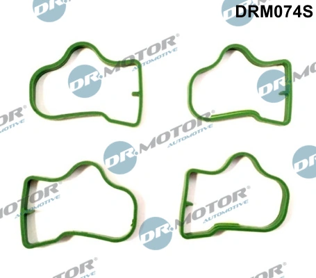 Gasket Set, intake manifold DRM074S