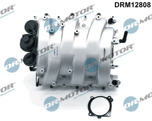 Intake Manifold Module DRM12808