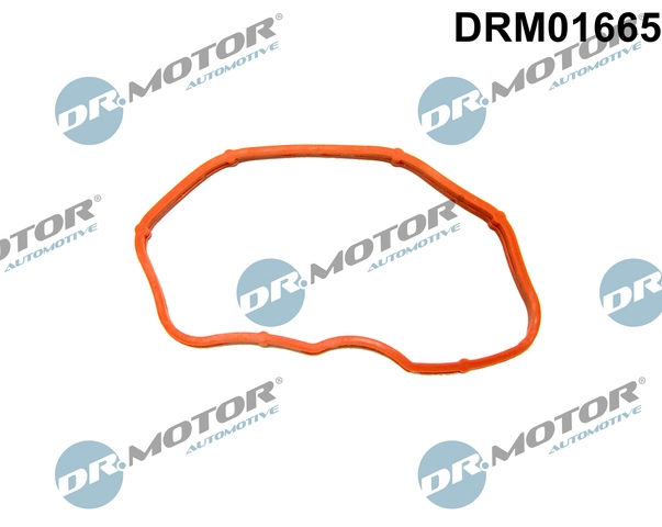 Gasket, intake manifold DRM01665