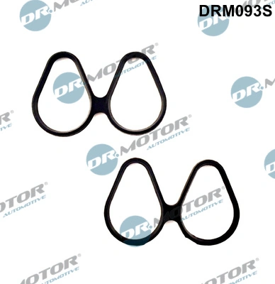 Gasket Set, intake manifold DRM093S