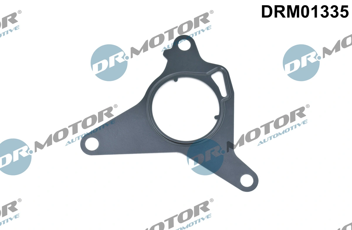 Gasket, vacuum pump DRM01335